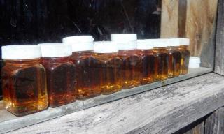 photo of maple syrup bottles on windowsill