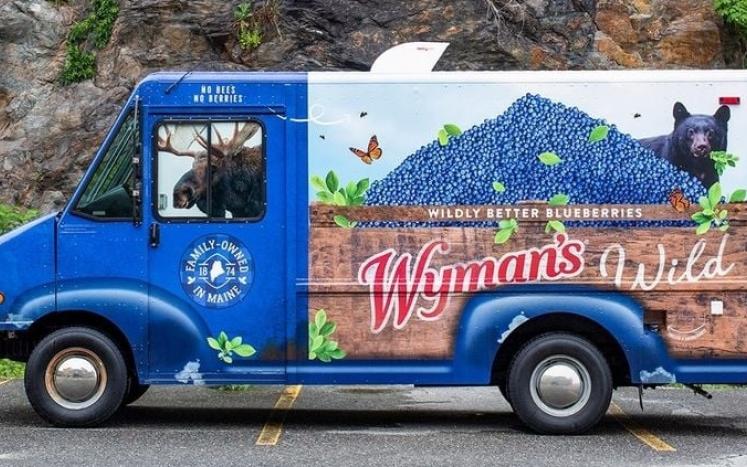 photo of the Wyman Bee Wild mobile