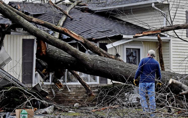 image of storm damaged tree